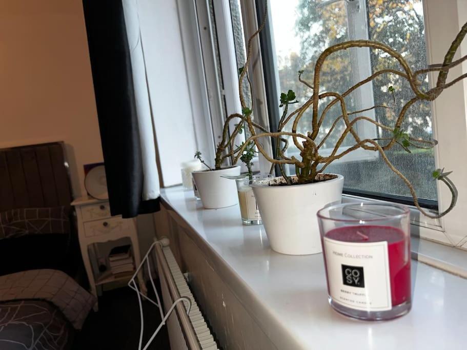 1-Bed Flat With Fast Wi-Fi In Prime Location 15Mins From Central Londen Buitenkant foto