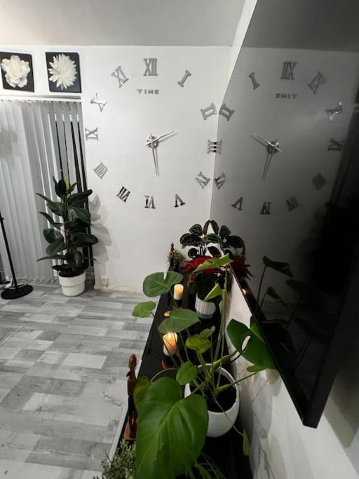 1-Bed Flat With Fast Wi-Fi In Prime Location 15Mins From Central Londen Buitenkant foto